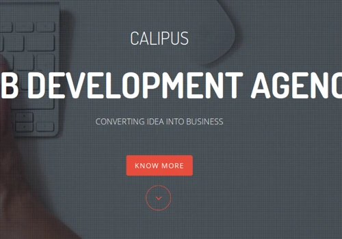 PHP Development Company India