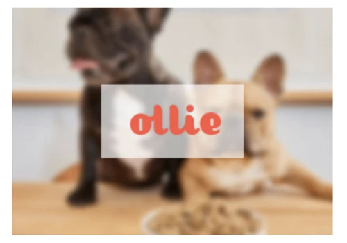 Project with Ollie