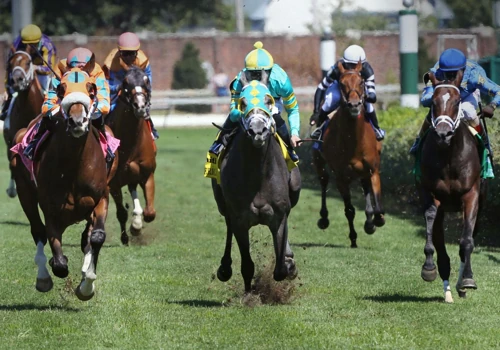 New York Racing Association + The Belmont Stakes