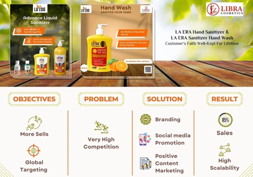 libracosmetics- DIGITAL MEDIA MARKETING CASE STUDY