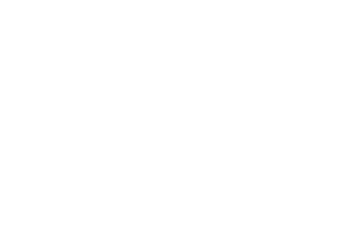 Ecommerce services website