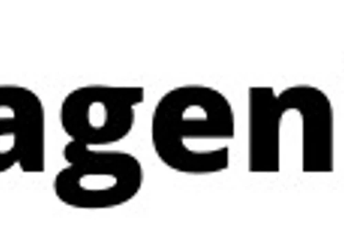 Ultra Genius - We’ll build your engineering team. You build your business.