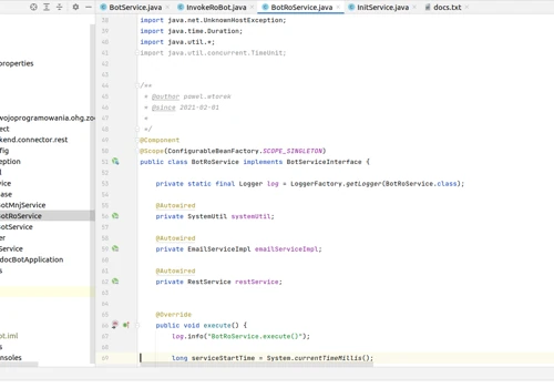A Google bot program