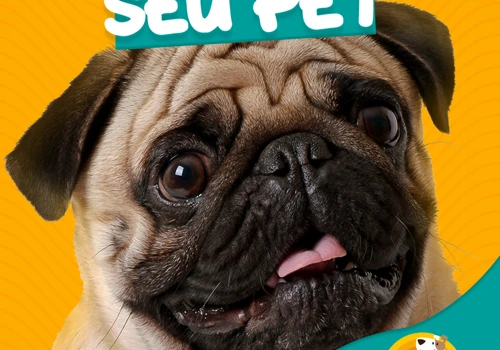 Art Petshop