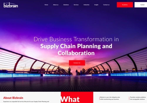 BIZBRAIN Website Design