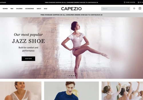 B2C, B2B, ERP Integration, Ecommerce Development