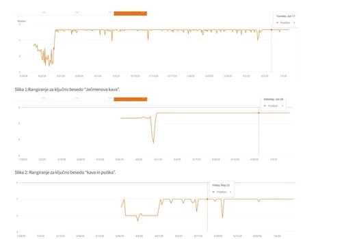 SEO Boost to #1 for Coffee Alternative