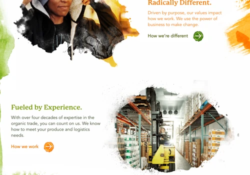 Women Owned Produce Distribution E-commerce website