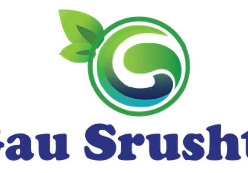 Full Stack Online Organic Store e-commerce web development