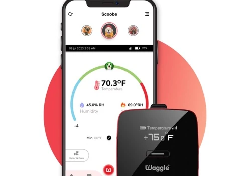Product Development: Award Winning IOT Products