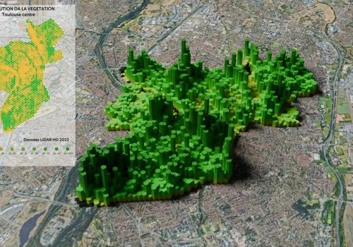 Vegetation Density Mapping Using LiDAR