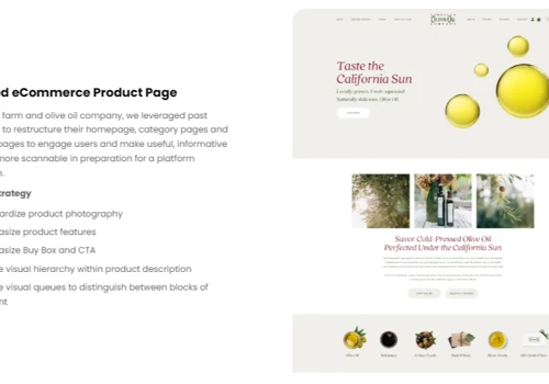 eCommerce Conversion Optimization Website Redesign