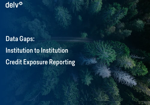 Data Gaps: Institution to Institution Credit Exposure Reporting