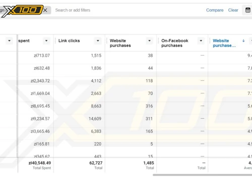 x100 PPC marketing project for eCommerce in Poland