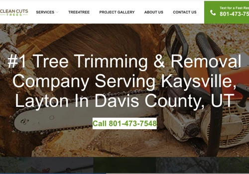 Tree Removal Service Google Ads Project