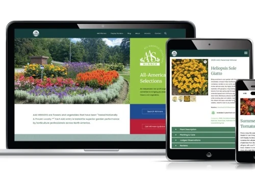 New nonprofit website with upgraded functionality