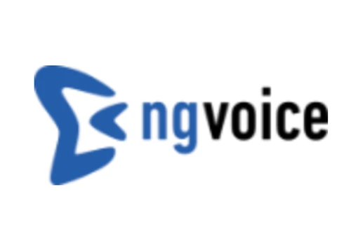 ngVoice Germany