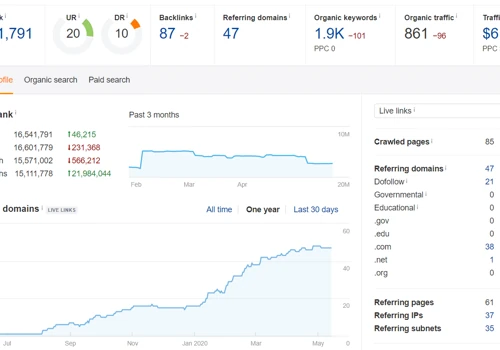 $600+ Traffic Value in 6 Months