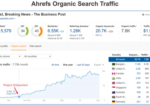 163% Organic Traffic Growth of a News Website