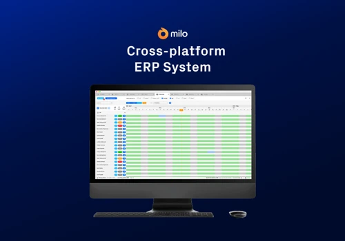 Custom ERP Cross-platform & Jira Integration