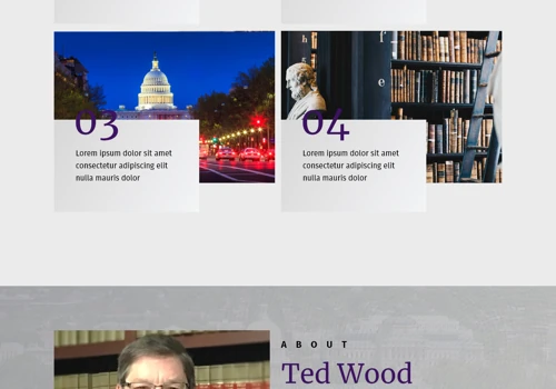 TED for Chief Justice