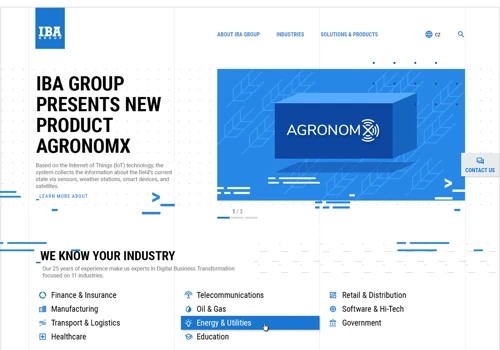 DEVELOPMENT OF A REFERENCE DESIGN CONCEPT OF IBA GROUP WEBSITE