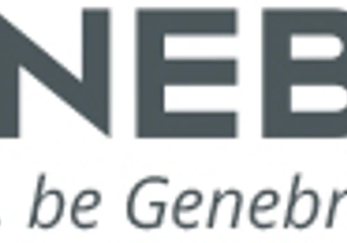 Genebre Analytics Project
