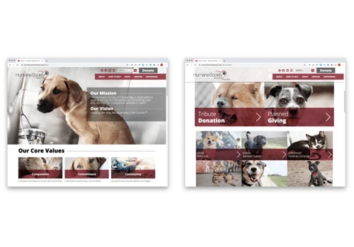 Website Design