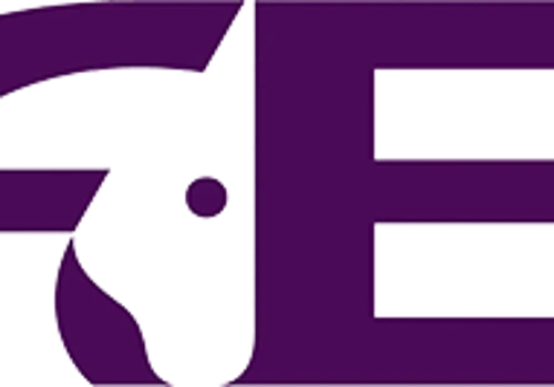Fédération Equestre Internationale (FEI)