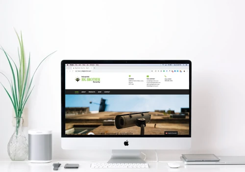 Big Brother Security - Web Design