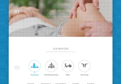 Physical Therapy Website
