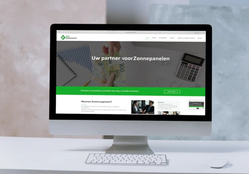 Ace Management / Website + advertising