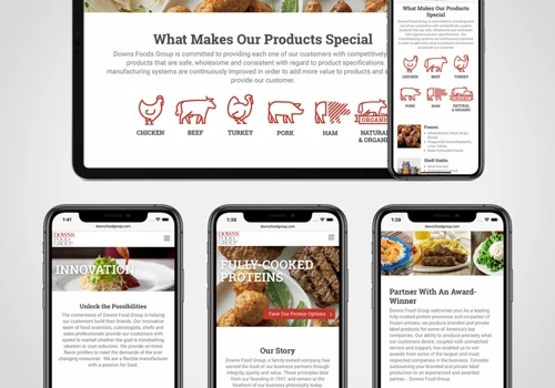 Downs Food Group - Website