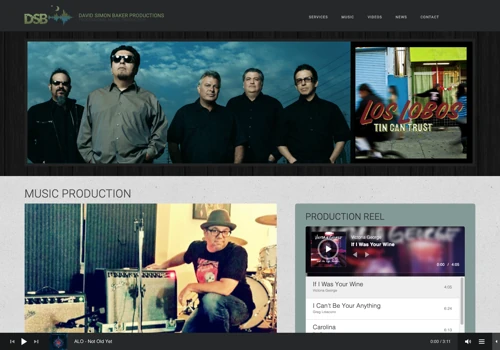 Custom Wordpress Wesbite