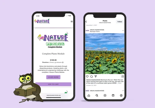 Website Redesign + Development