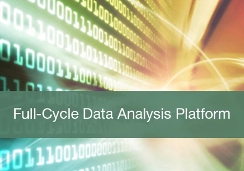 Full-Cycle Data Analysis Platform