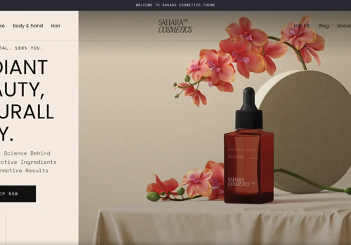 E-commerce Website Development