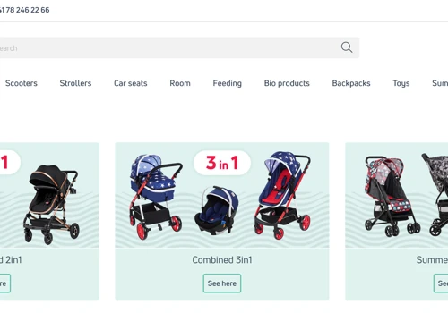 Merging E-commerce with Physical Stores