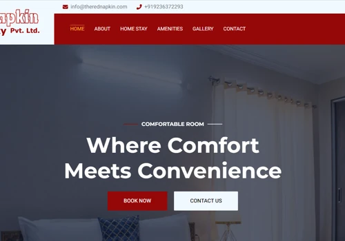 Web Development and IT Solutions for Rednapkin