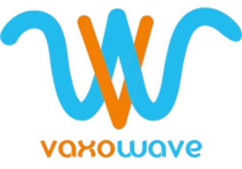 Management consulting - Information Technology