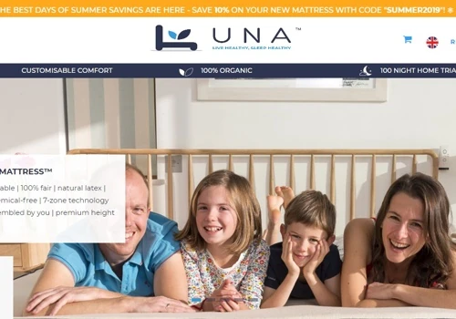 Website Design and Development