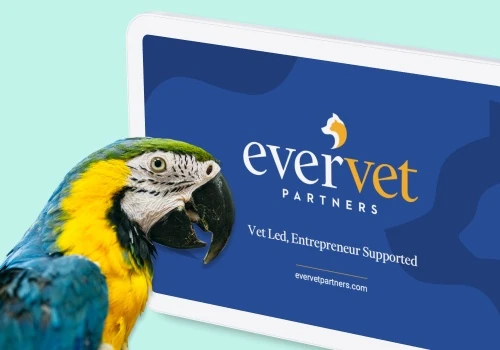 Branding & Promotional Strategy