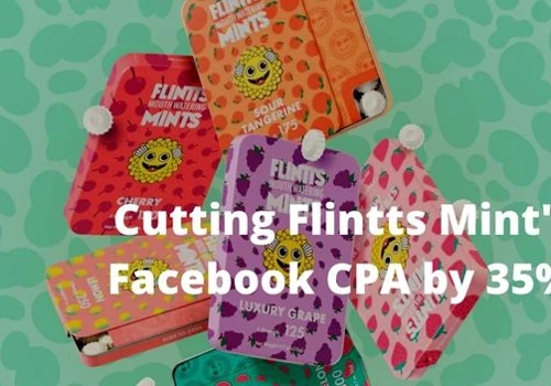 Cutting Flintts Mint's CPA by 35% in One Month