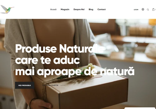 Aer Piata Altfel - Web Development