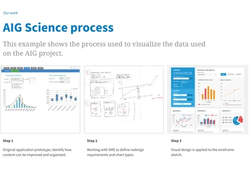 AIG - Data Visualization System