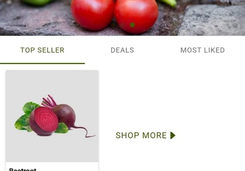 Online Grocery Store