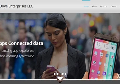 DoyeEnterprises (Parallax and Responsive)
