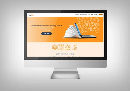 Trusity - Web design