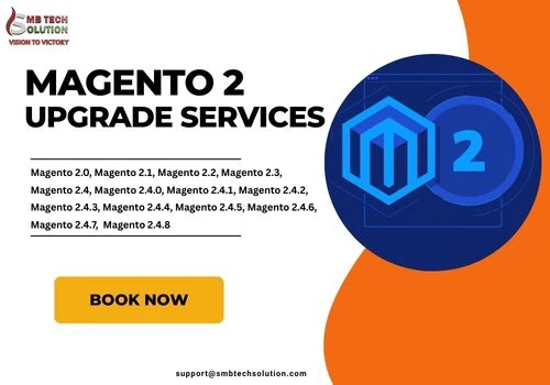 Magento Upgrade Service
