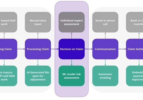 Insurance claim assessment